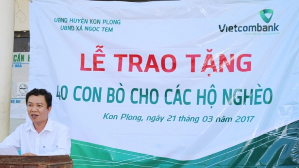 Vietcombank Kon Tum tặng 100 con bò giống cho hộ nghèo huyện KonPlong